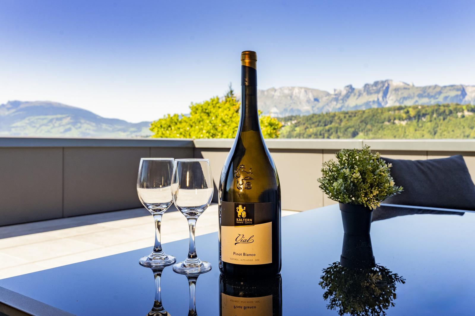 homy apartments – Terrasse mit Bergblick