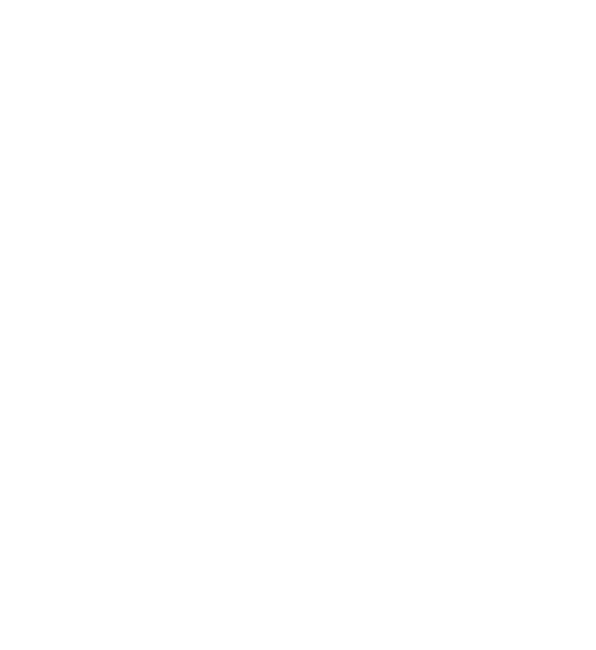 homy Logo weiß